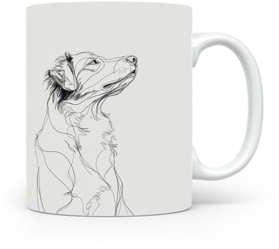 Beker Nova Scotia Duck Tolling Retriever