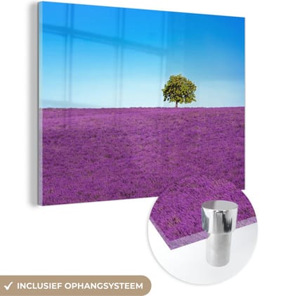 MuchoWow® Glasschilderij 40x30 cm - Schilderij acrylglas - Boom - Paars - Lucht - Lavendel - Foto op glas - Schilderijen