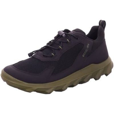 Fitness Schoenen Ecco -
