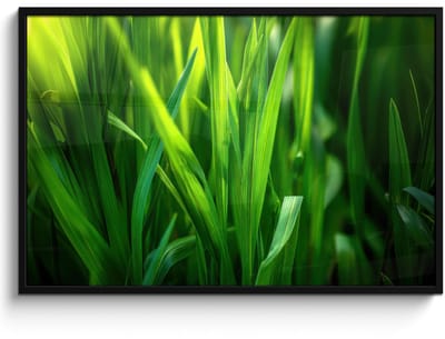 Poster in lijst - Fotolijst 120x80 cm - Posters - Grassprieten - Lichtinval - Groen - Posterlijst zwart - Decoratie - Wanddecoratie woonkamer - Muurdecoratie slaapkamer