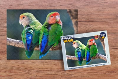 Puzzel Een dwergpapegaai koppel met blauwe staart - Legpuzzel - Puzzel 1000 stukjes volwassenen