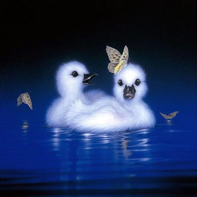 5d bricolage diamant peinture point de croix petit cygne diamant broderie 30x30CM white