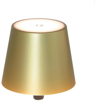 Flessenlamp - Goud - Tafellamp Oplaadbaar - Warm wit