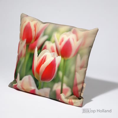 HUGS buitenkussen | tulpen | 40 x 40 | outdoor kussen | tuinkussen | terras aankleding | waterafstotend