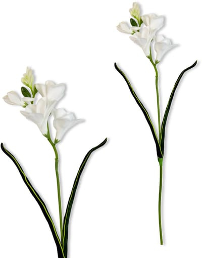 Inspiruj - Freesia - Kunsttak - 59 cm - Witte Bloemen - Pianka