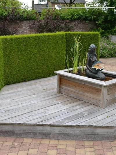 Westerse Levensboom Thuja Brabant 120-140 cm, 8x Haagplant