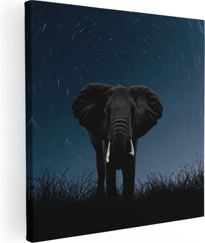 Artaza Canvas Schilderij Olifant - 80x80 cm - Wanddecoratie Dieren - Muurdecoratie Woonkamer - Schilderijen Op Canvas Nachtlucht