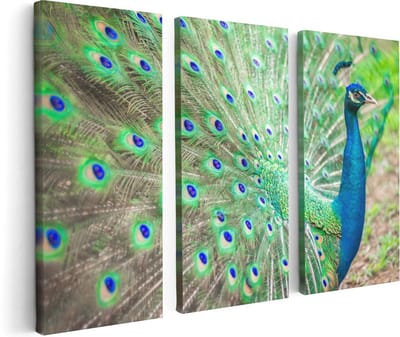 Artaza Canvas Schilderij Drieluik Pauw Met Kleurrijke Veren  - 120x80 - Foto Op Canvas - Canvas Print