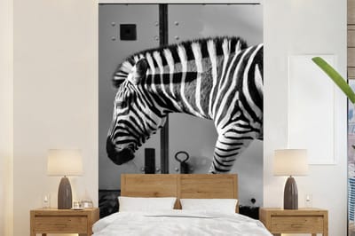 Behang - Fotobehang Zebra - Muur - Deur - Dieren - Zwart wit - Breedte 200 cm x hoogte 300 cm