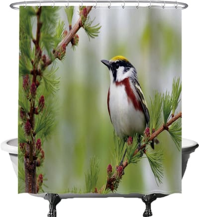 Ulticool Douchegordijn - Vogel op Tak Boom Natuur - 180 x 200 cm - met 12 ringen - Anti Schimmel - Waterdicht & Wasbaar - Semi Transparant - Groen