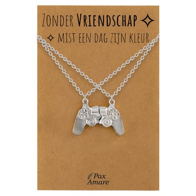 BFF Ketting voor 2 'Zonder Vriendschap mist een dag zijn kleur' - Controller - Vriendschapsketting op Cadeau Kaartje - 45cm + 5cm verstelbaar - Zilverkleurig - Best Friends Hanger - Pax Amare