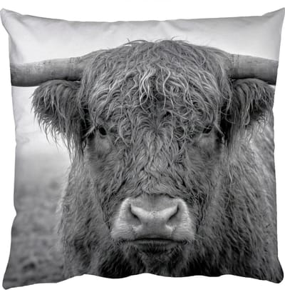 Sierkussens - Kussentjes Woonkamer - 50x50 cm - Schotse hooglander - Zwart - Wit - Gras