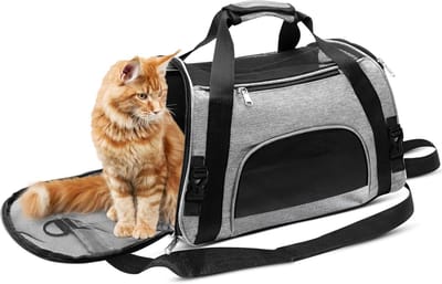 Opvouwbare draagtas voor katten en honden - kattendraagtas en hondentransportbox - slimme transportbox met kattenmand