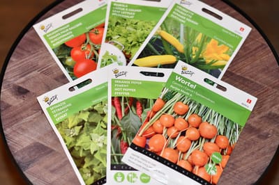 Groentezaden Assortiment Voor In Potten - 6 Soorten - Ca. 2800 Zaden - Courgette - Spinazie - Spaanse Peper - Parijse Wortel - Balkontomaat - Pluksla