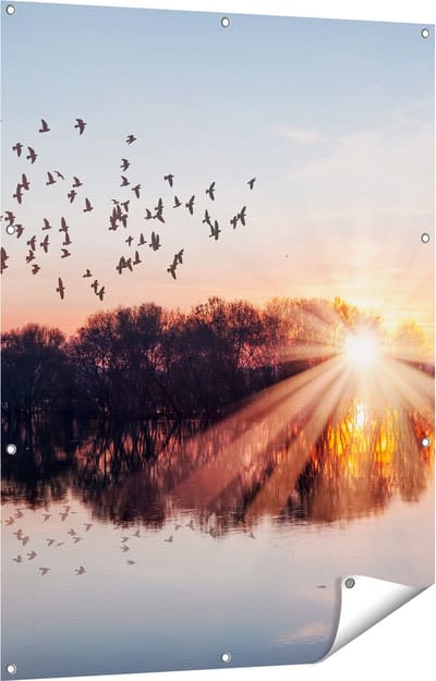 Gards Tuinposter Groep Vogels Boven de Meer met Zonsondergang - 90x120 cm - Tuindoek - Tuindecoratie - Wanddecoratie buiten - Tuinschilderij