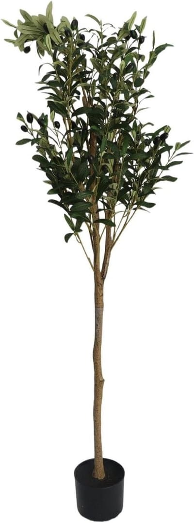 Kunstmatige Olijfboom - Nep Plant - Binnen Decoratie - Levensecht Ontwerp - 180 cm - Groen