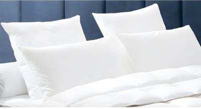 Vente-unique Set 2 Hoofdkussens DODO Natuurlijke dons BAFFIN - 65x65 cm