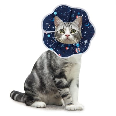 Zachte en Aanpasbare Herstelhalsband voor Katten en Puppies - Beschermende Conus van Katoen in Donkerblauw (M) - Ideaal voor Postoperatieve Zorg en Comfort