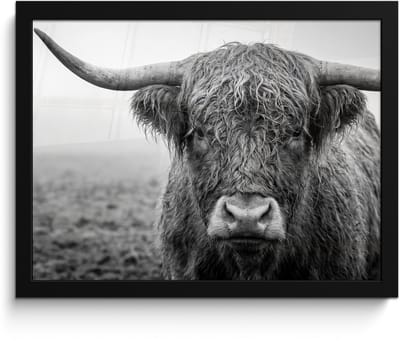 Poster in lijst - Fotolijst 40x30 cm - Posters - Schotse hooglander - Zwart - Wit - Gras - Posterlijst zwart - Decoratie - Wanddecoratie woonkamer - Muurdecoratie slaapkamer