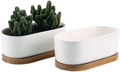 Famanu - Succulente Plantenpot Set van 2, Ovaal Keramiek Vetplant Bloempot met Bamboe Onderzetter, Binnen Klein Cactus Pot met Afvoergat Wit voor Sappige Aloë Kruid Kamerplant Decoratieve Geschenk
