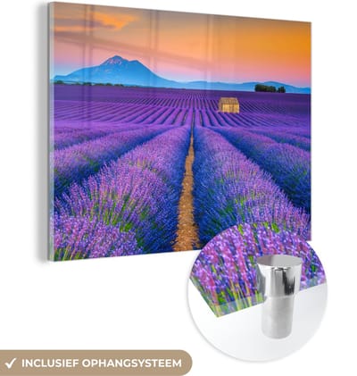 MuchoWow® Glasschilderij 40x30 cm - Schilderij acrylglas - Lavendel - Paars - Bloemen - Foto op glas - Schilderijen