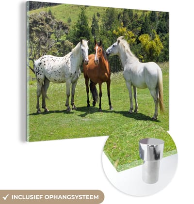 MuchoWow® Glasschilderij 40x30 cm - Schilderij acrylglas - Paarden - Boom - Schaduw - Foto op glas - Schilderijen