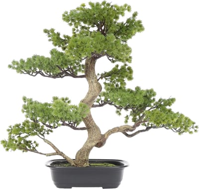 Kunst Bonsaiboom Kamamota – 65 cm – Deluxe Bonsai in Zwarte Schaal – Premium Kunst Bonsaiplant