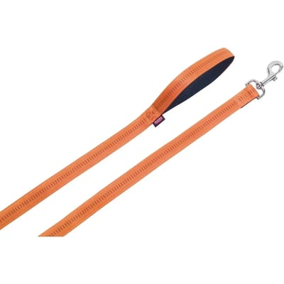 Hondenriem met gewatteerde voering Nobby Pet Soft Grip