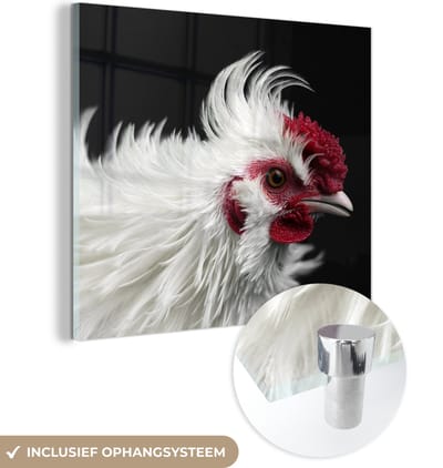 MuchoWow® Glasschilderij 50x50 cm - Schilderij acrylglas - Kip - Vogel - Zwart - Foto op glas - Schilderijen