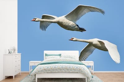 Behang - Fotobehang Zwaan - Vogel - Lucht - Blauw - Breedte 450 cm x hoogte 300 cm