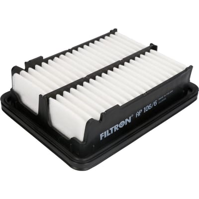Luchtfilter FILTRON AP 106/6