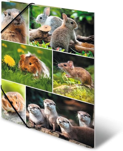 Verzamelmappen A4 - Kartonnen mappen - Documenten bewaren - Met elastiek sluiting - 3 stuks - Dierenwerelden