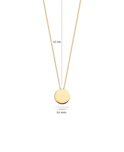 Blush Ketting Dames - Goud - 42 cm - Halsketting Dames Geen bewerking - Collier