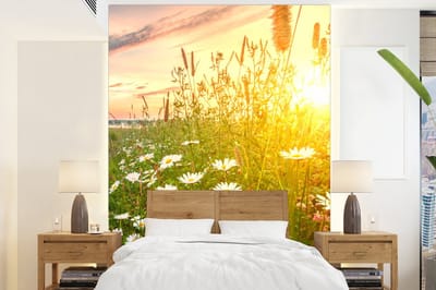 Behang - Fotobehang Bloemen - Madelief - Natuur - Zon - Horizon - Breedte 165 cm x hoogte 220 cm