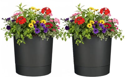Mica Decorations Bloempot Coco - 2x - met onderschaal - antraciet - H40 x D38 cm - kunststof - buiten