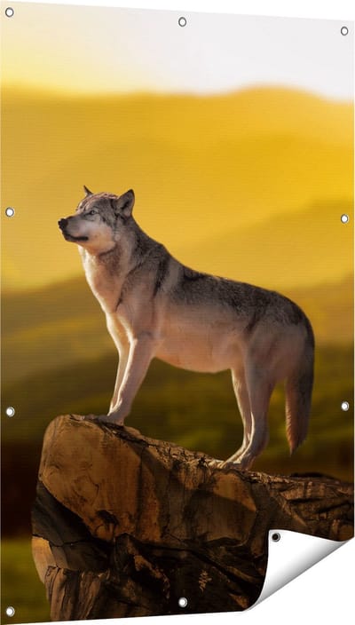 Gards Tuinposter Wolf op een Rots met een Heuvel Landschap - 80x120 cm - Tuindoek - Tuindecoratie - Wanddecoratie buiten - Tuinschilderij
