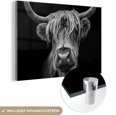Glasschilderij Schotse hooglander - Koe - Zwart wit - Hoorns - Portret - Slaapkamer decoratie - Wanddecoratie glas - 120x80 cm - Foto op glas - Woonkamer - Glasplaat
