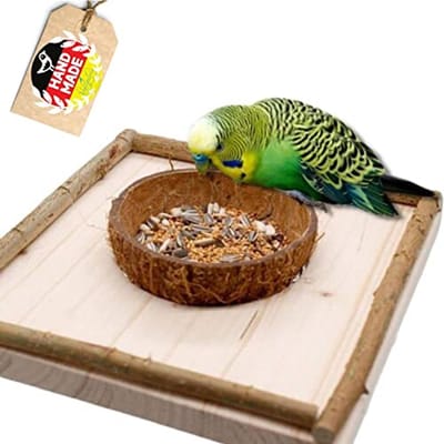 Zit- en Voederplank met Verwijderbare Kokosnoot Voerbak voor Vogels