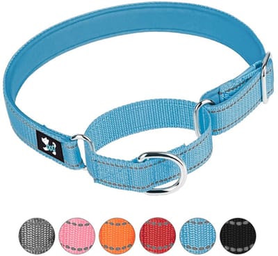 Store_8 - Verstelbare Martingale hondenhalsband - Veiligheidstraining - Blauw - Zacht neopreen - Ademend Nylon - Geschikt voor kleine, middelgrote ...