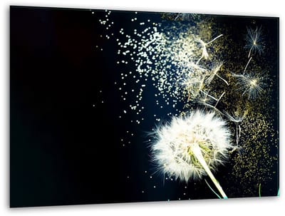 TMK ArtDeko - Snijplank van glas - 40cm x 30cm - Kleurig Bloemenontwerp