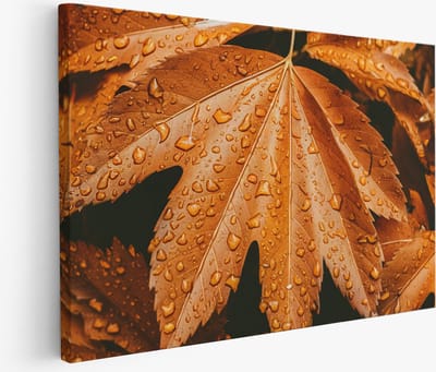 Saammp - Muurcirkel Hout - Vrouw met oranje ogen - Abstract - Ø 80 - Wandcirkel - Wanddecoratie Cirkel - Muurdecoratie Woonkamer - Slaapkamer decoratie - Rond Schilderij