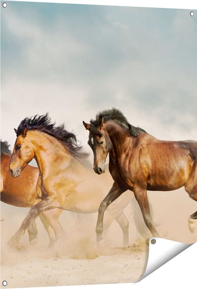 Gards Tuinposter Drie Bruine Paarden - 80x100 cm - Tuindoek - Tuindecoratie - Wanddecoratie buiten - Tuinschilderij