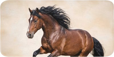 WC mat 120x60 cm - Antislip - Paard - Galop - Energie - Toiletmat - Vloermat - Douchemat - Toilet tapijt - Toiletmatten