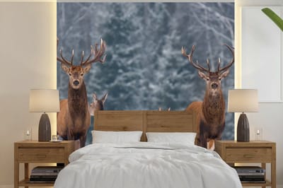 Behang - Fotobehang Hert - Winter - Sneeuw - Bosdieren - Bos - Natuur - Breedte 280 cm x hoogte 280 cm