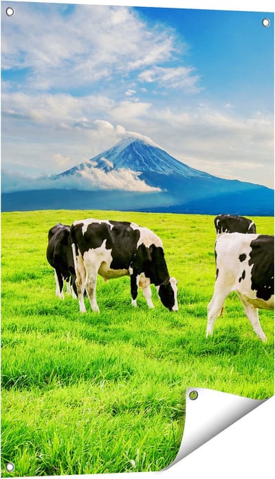 Gards Tuinposter Koeien in de Wei - 60x90 cm - Tuindoek - Tuindecoratie - Wanddecoratie buiten - Tuinschilderij