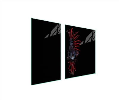 TMK ArtDeko - Glasplaat Bescherming - 90x52 cm - Vis Design
