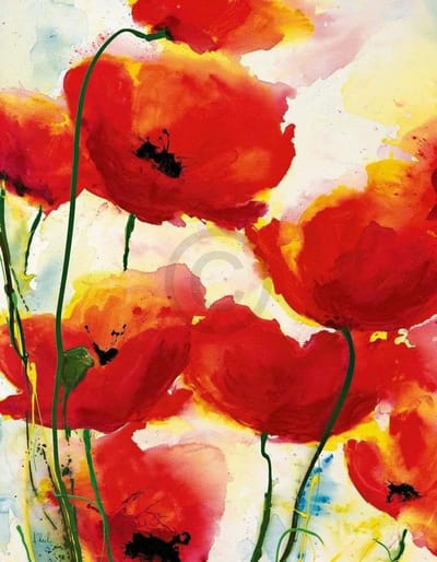Kunstdruk Heidi Reil - Roter Mohn 70x90cm
