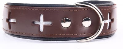Dog's Companion Leren Halsband - Swiss - Lengte: 45 cm Verstelbaar van 32-41 cm x 40 mm - Bruin