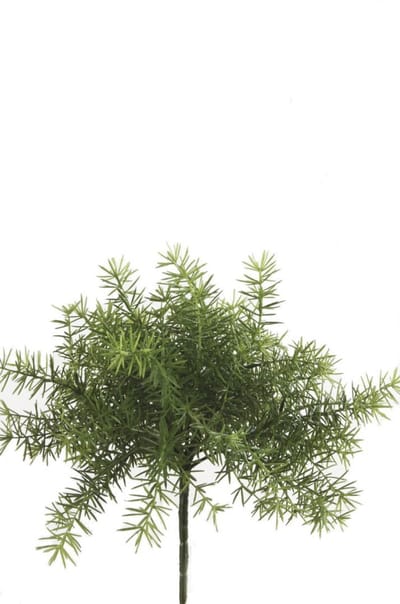 Asparagus Bush Lt Green kunstplant Emerald
