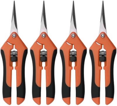 Dailygoods- Handsnoeischaar 16,5 cm - Bloemenschaar - Oogtschaar - Snijbloemen - Takken - Veilig vergrendelingsmechanisme - Snoeischaar